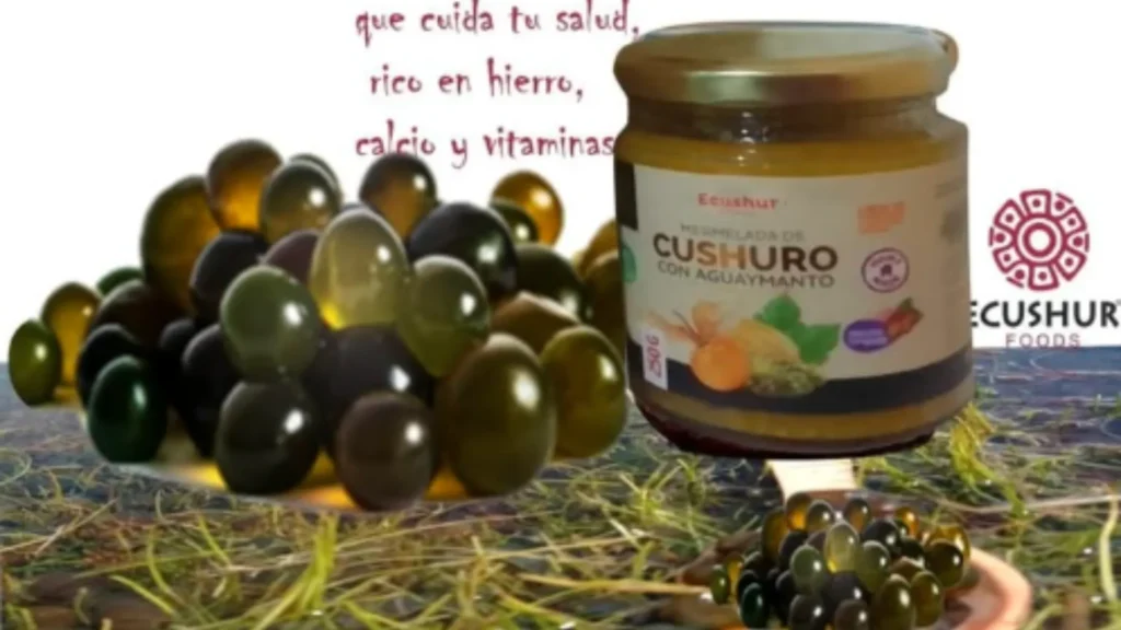 Ecushur Foods